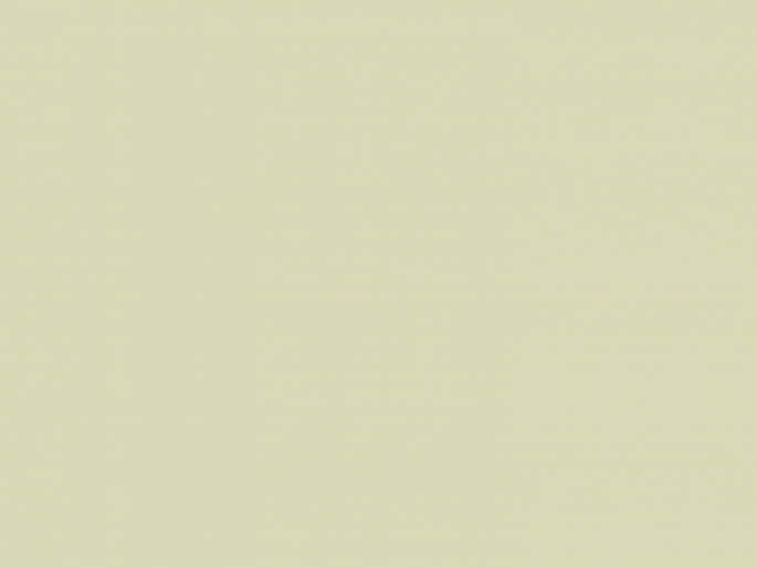 Paint & Paper Library Architects' Satinwood - Willow IV 534
