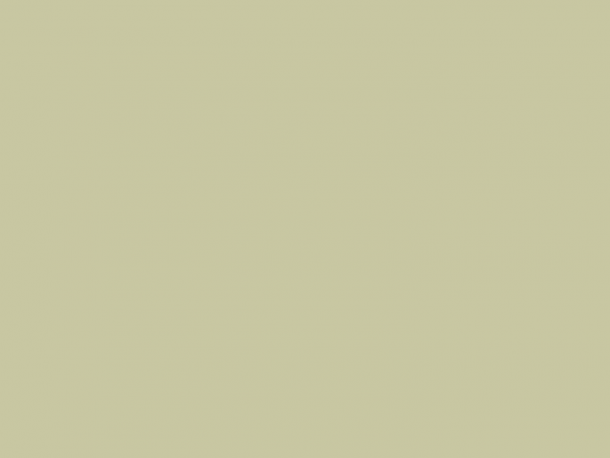 Paint & Paper Library Architects' Matt - Willow V 535