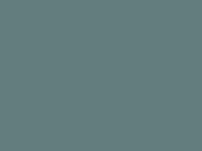 Paint & Paper Library Pure Flat Emulsion - Iguana 551