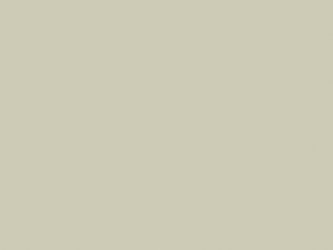 Paint & Paper Library Architects' Gloss - Wattle IV 564