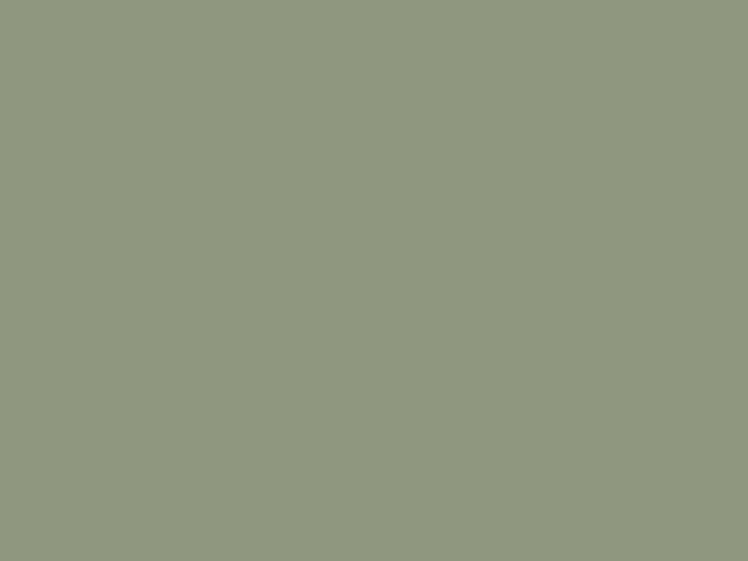 Paint & Paper Library Architects' Gloss - Greenback 579