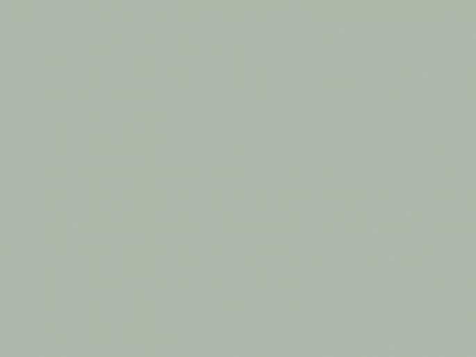 Paint & Paper Library Architects' Matt - Glass V 585