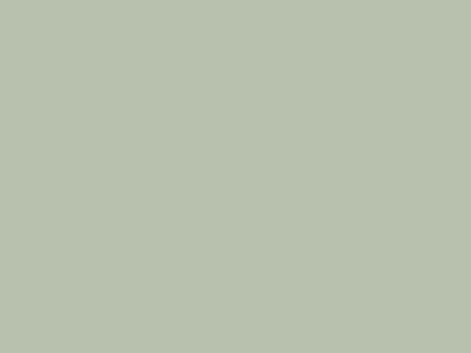Paint & Paper Library Architects' Satinwood - Sobek 587