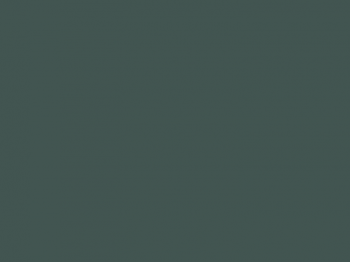 Paint & Paper Library Architects' Gloss - Nori 590