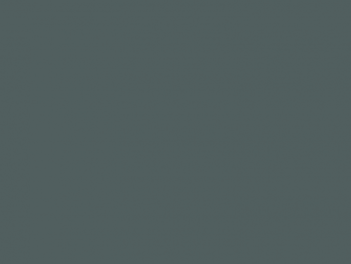 Paint & Paper Library Architects' Gloss - Squid Ink 698