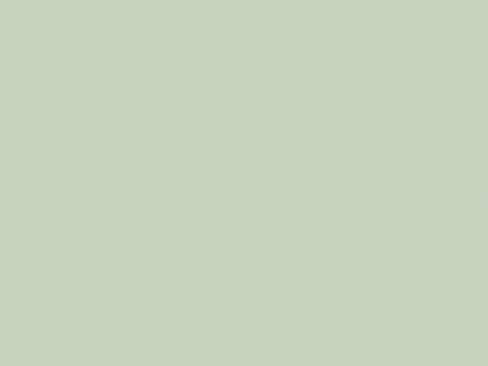 Paint & Paper Library Architects' Matt - Sprig IV 704