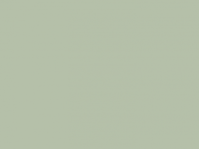 Paint & Paper Library Architects' Gloss - Sprig V 705
