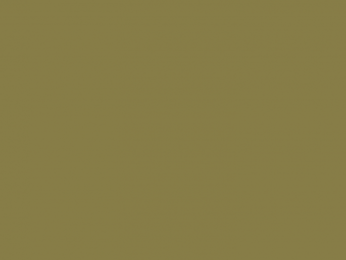 Paint & Paper Library Architects' Gloss - Midelt Sage 711