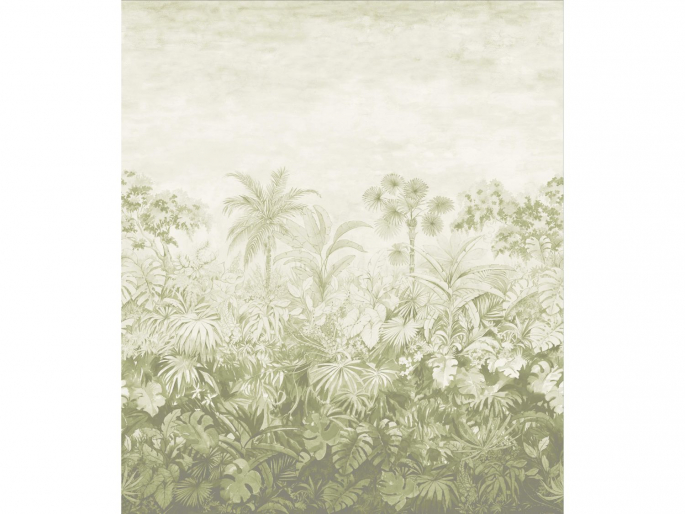 Paint & Paper Library Jangala - Willow