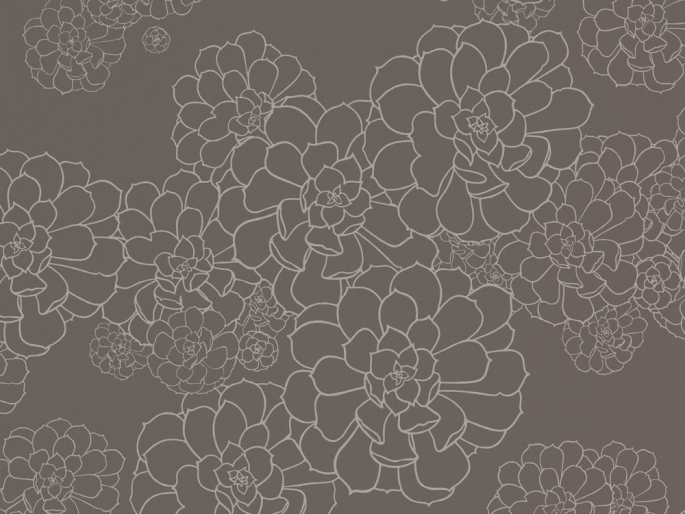 Paint & Paper Library Aeonium - Monument