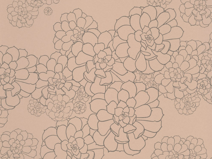 Paint & Paper Library Aeonium - Temple