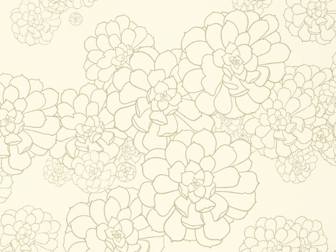 Paint & Paper Library Aeonium - Wattle