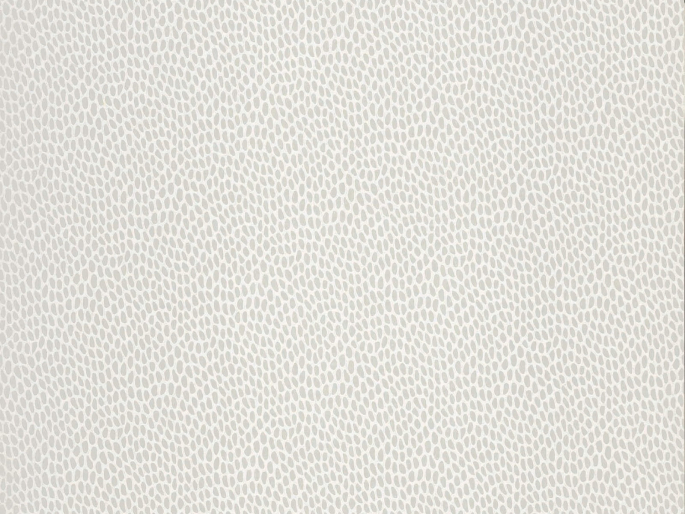 Paint & Paper Library Seedpod - Salt