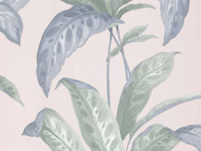 Paint & Paper Library Tropicane - Plaster