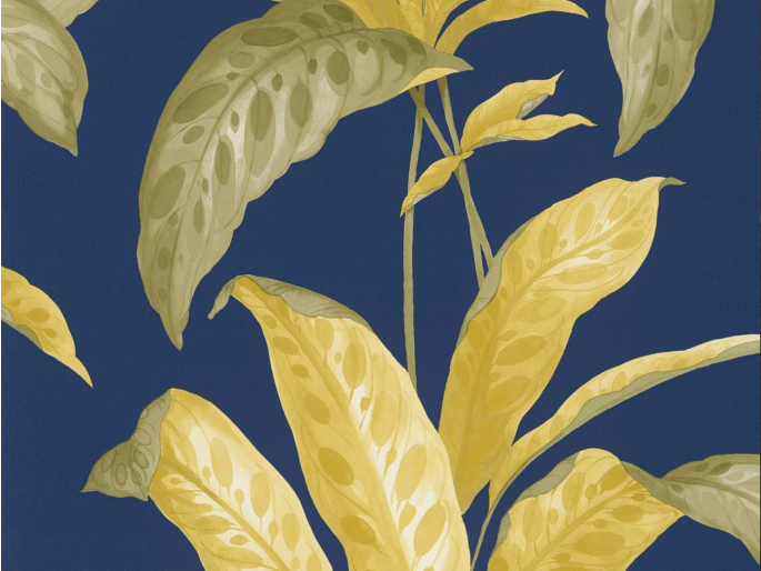 Paint & Paper Library Tropicane - Plimsoll